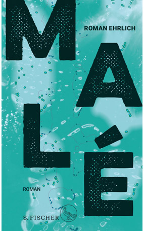 Ehrlich_Male_Cover.jpg